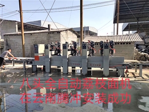 八頭全自動(dòng)荔枝面機(jī)在云南騰沖安裝成功